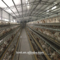 Équipement de cage de poulet entièrement automatisé pour les fermes d&#39;élevage du monde entier